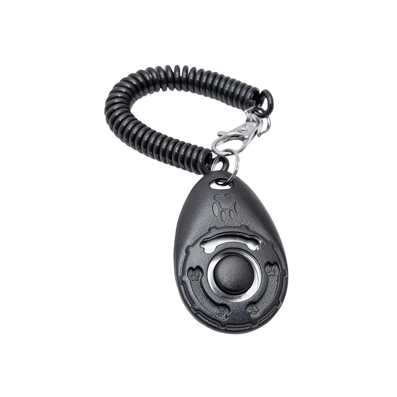Clicker d'entrainement avec bracelet