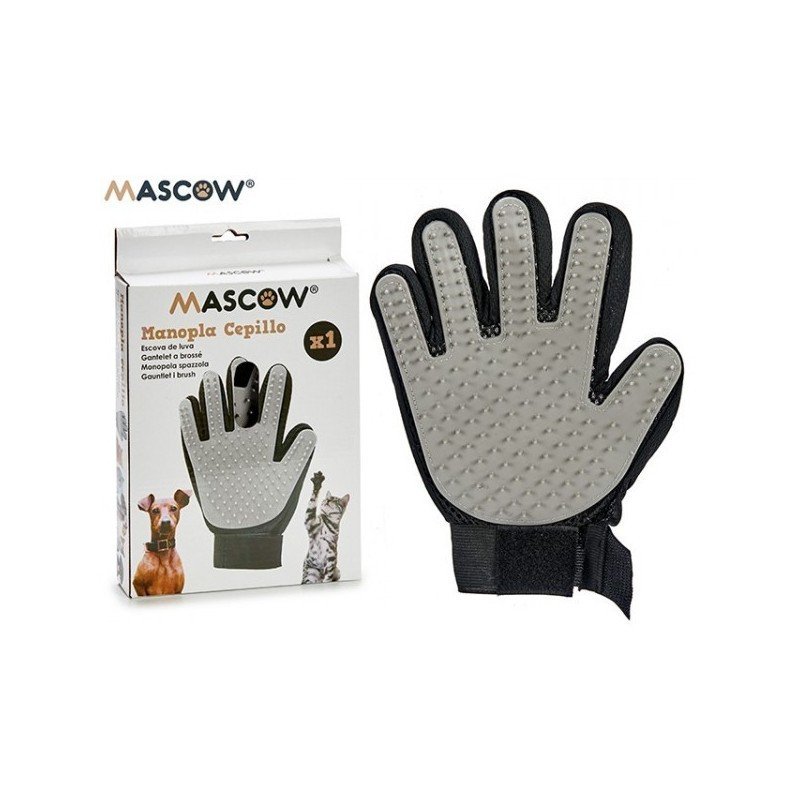 MASCOW - POIGNEE BROSSE