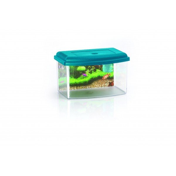 GEORPLAST - AQUARIUM 1 AVEC COUVERCLE . 22 X 16 X 14 H - LT. 3.00
