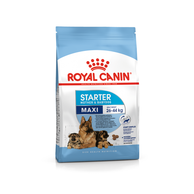 Royal Canin Maxi Starter Mother & Babydog