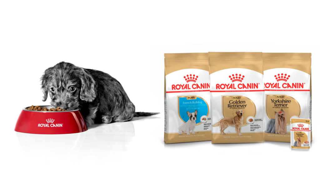Royal canin chien