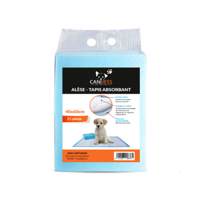 canijess tapis absorbant